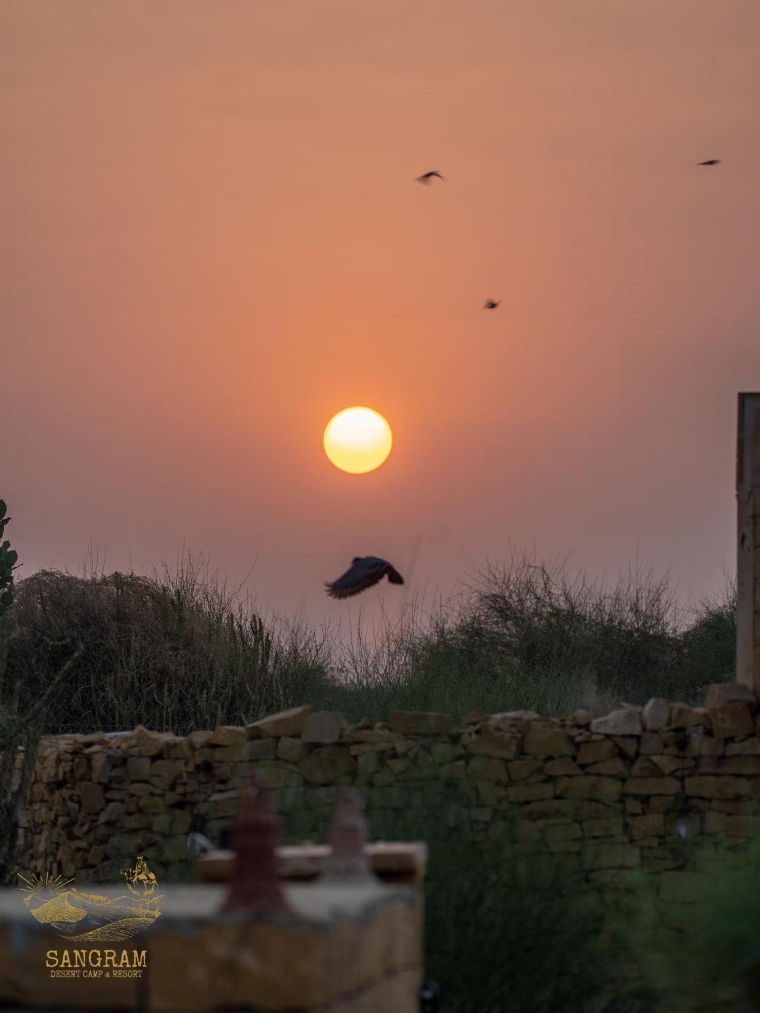 Sangram Desert Camp Jaisalmer Buitenkant foto